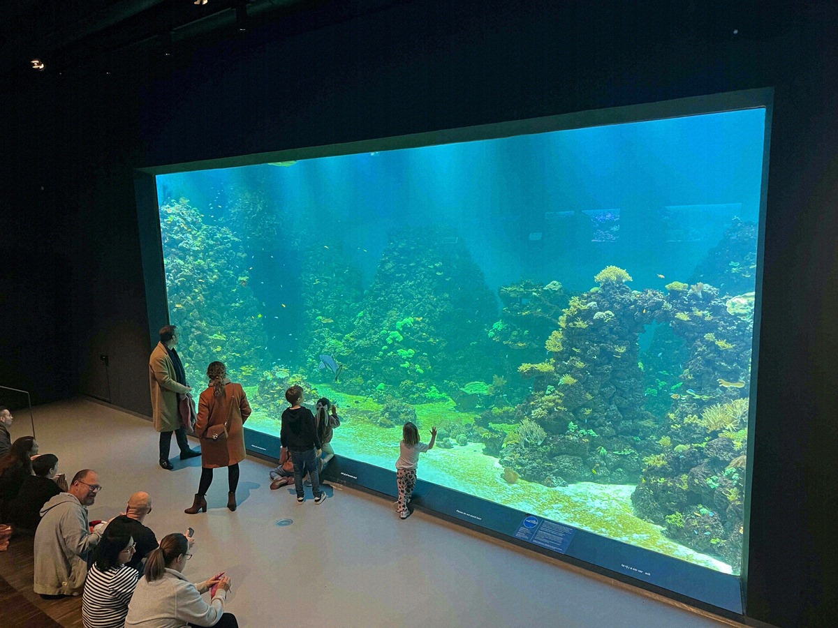 Besucher vor dem großen Korallenriff-Becken im Sjöfartsmuseet Akvariet